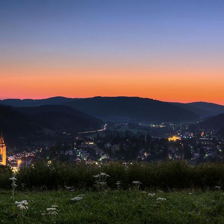 Drei Tannen - Wohnung 11 - Apartmenthaus, Titisee, Feldberg Exteriér fotografie