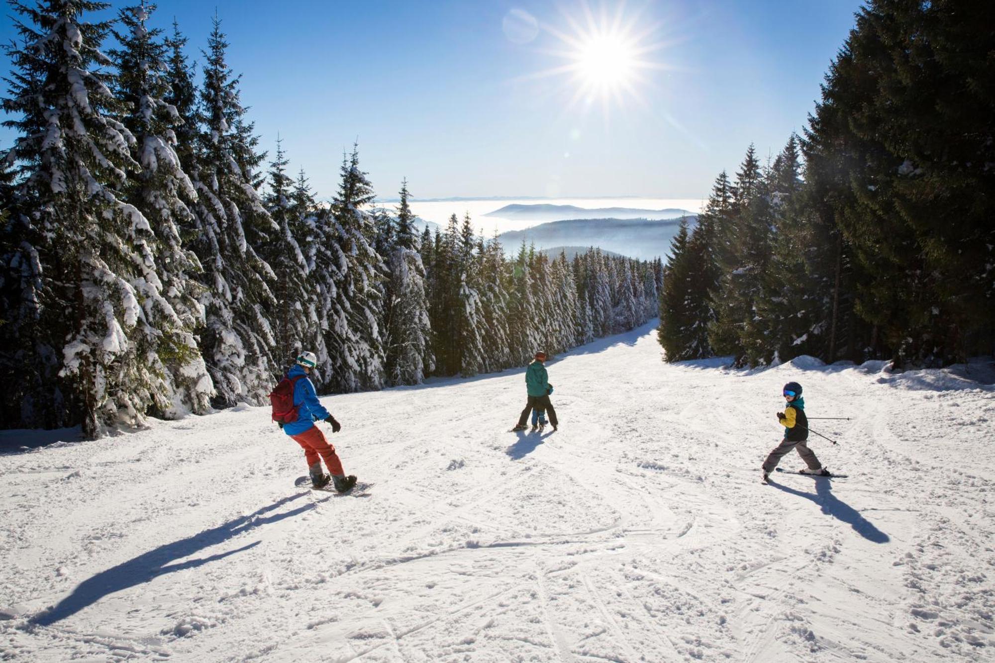 Drei Tannen - Wohnung 11 - Apartmenthaus, Titisee, Feldberg Exteriér fotografie