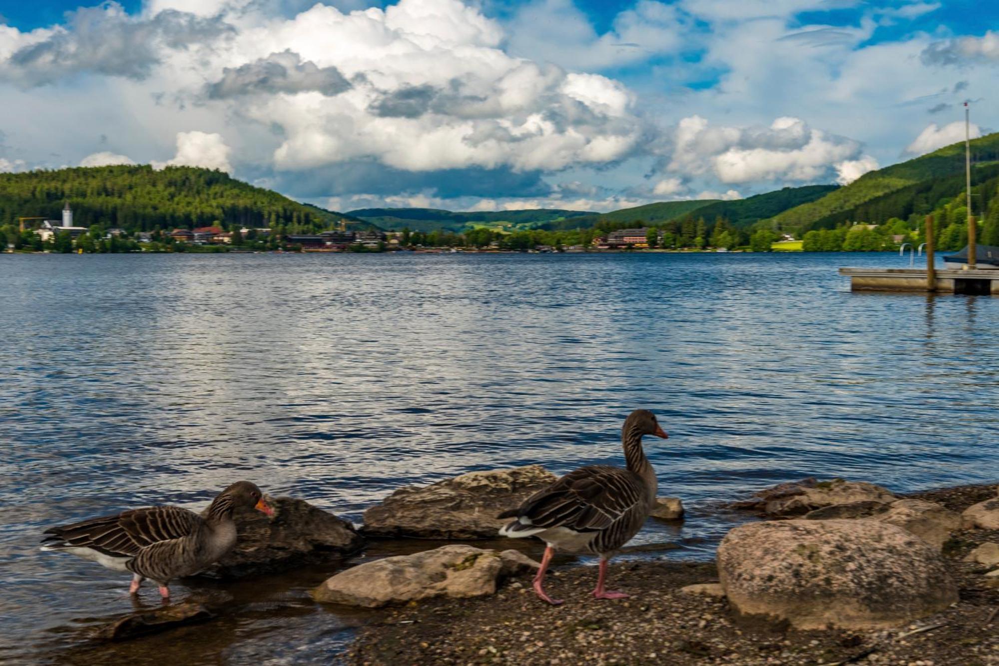 Drei Tannen - Wohnung 11 - Apartmenthaus, Titisee, Feldberg Exteriér fotografie